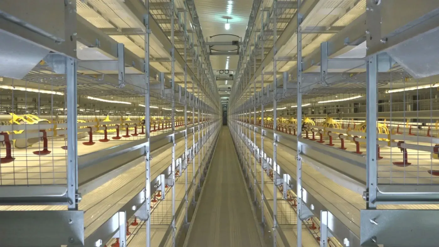 Usine Morjana Avicole